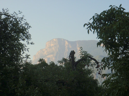 The Tyrol Mountain view across the tree tops.